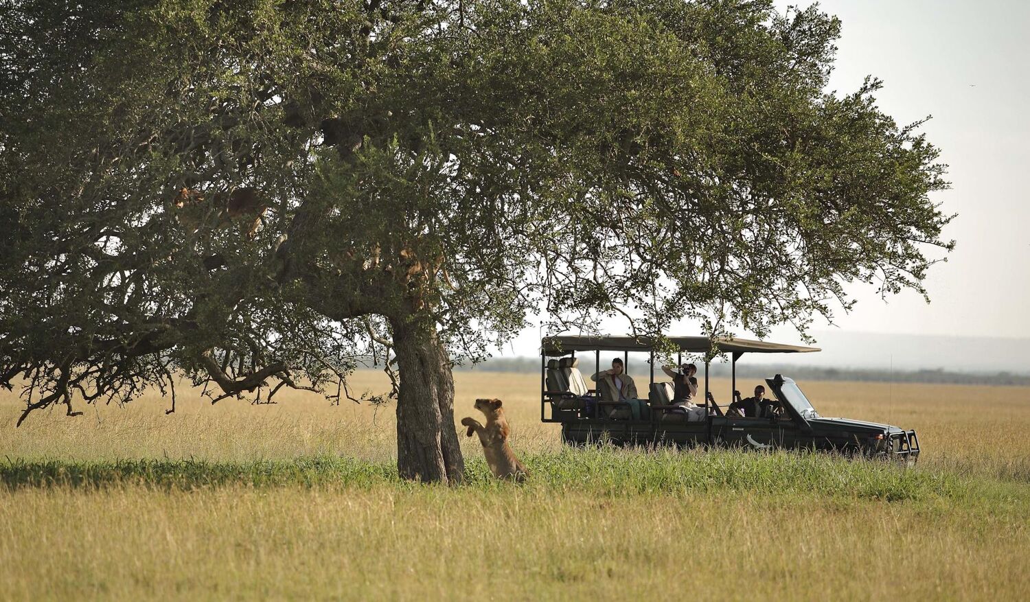 PlaceholderImage1302